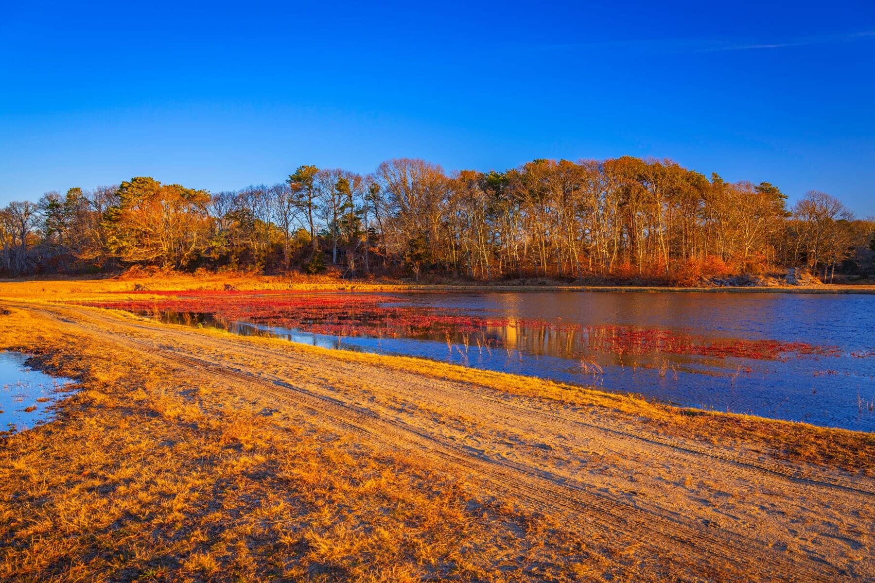 Fall in Love with Cape Cod